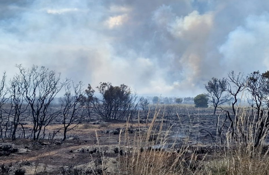 Seg�n Podemos, el incendio de Sierra Espu�a es consecuencia del �negacionismo ambiental� del PP y Vox